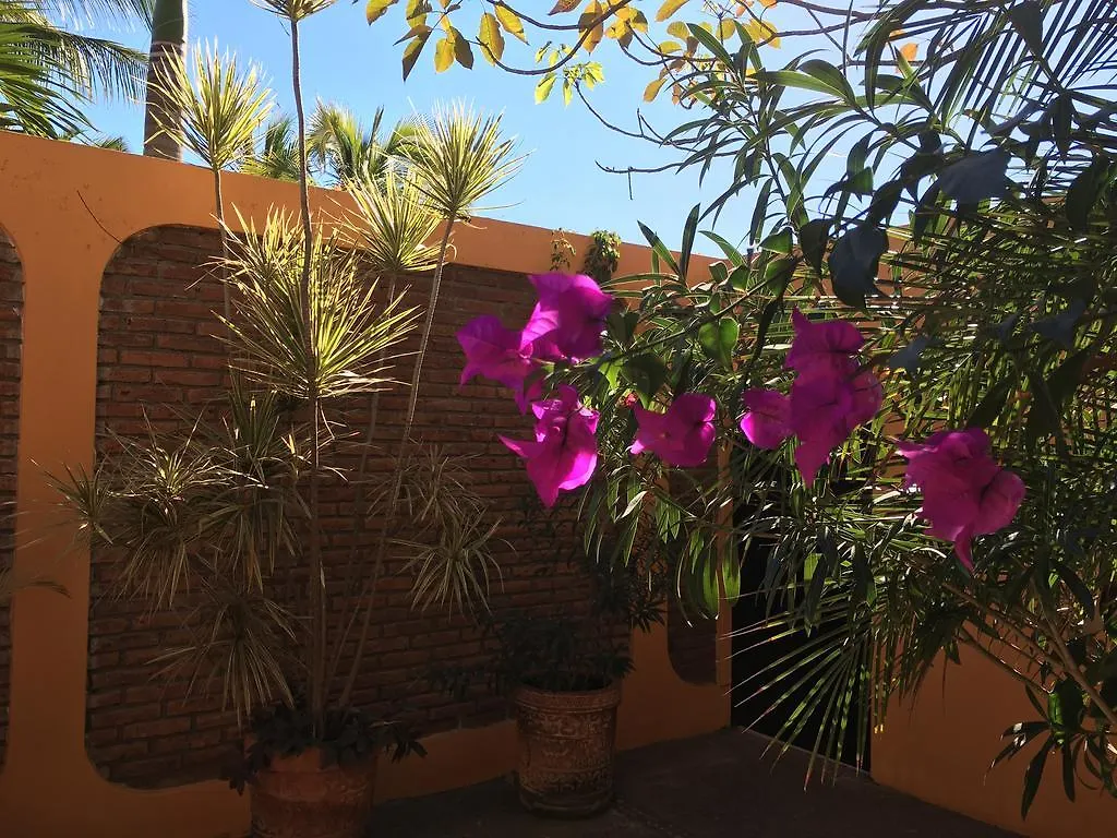 **** Resort El Sol La Vida Beach Front B/B Adults Only Mazatlan Mexico