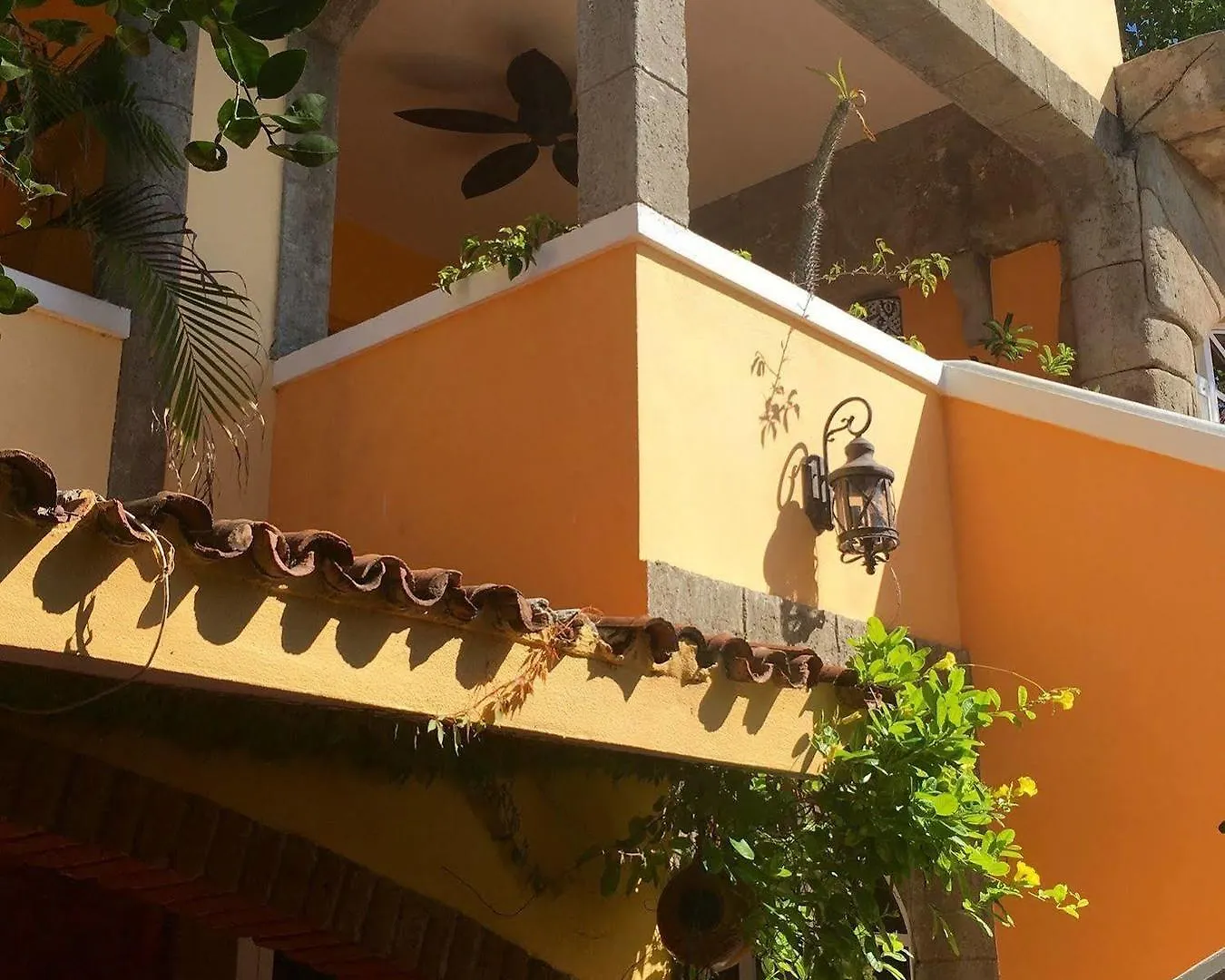 El Sol La Vida Beach Front B/B Adults Only Mazatlan